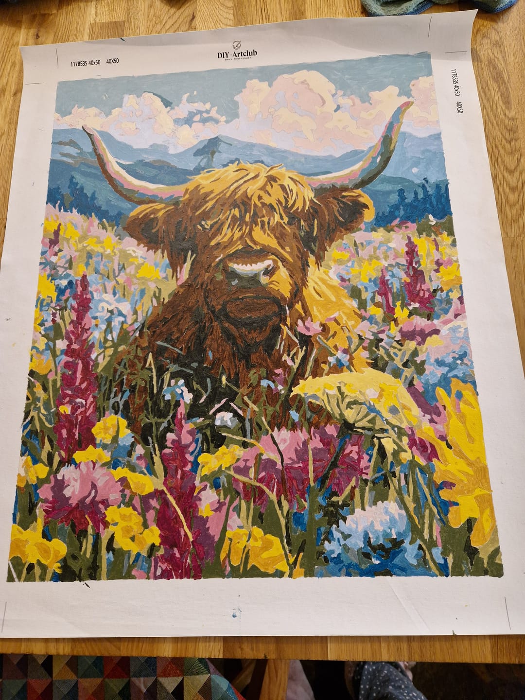 Customer photo review of Highland in Bloom | Paint by Number