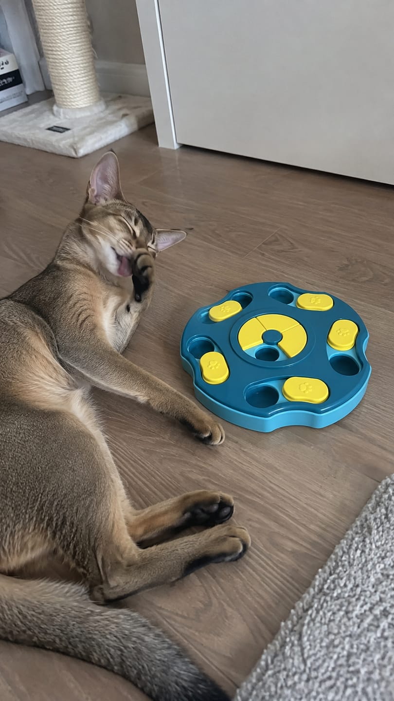 Customer photo review of Comedero Puzzle Antiestrés para Gatos