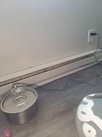 Customer photo review of PureFlow™   Pet Water Fountain