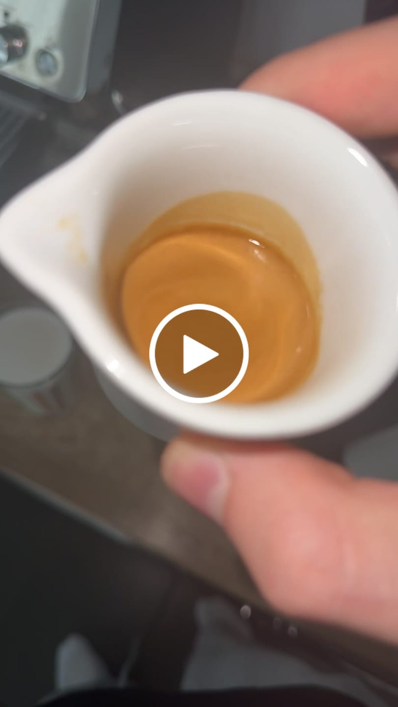 Customer video review of Malabar Arabica Extrem Säurearm