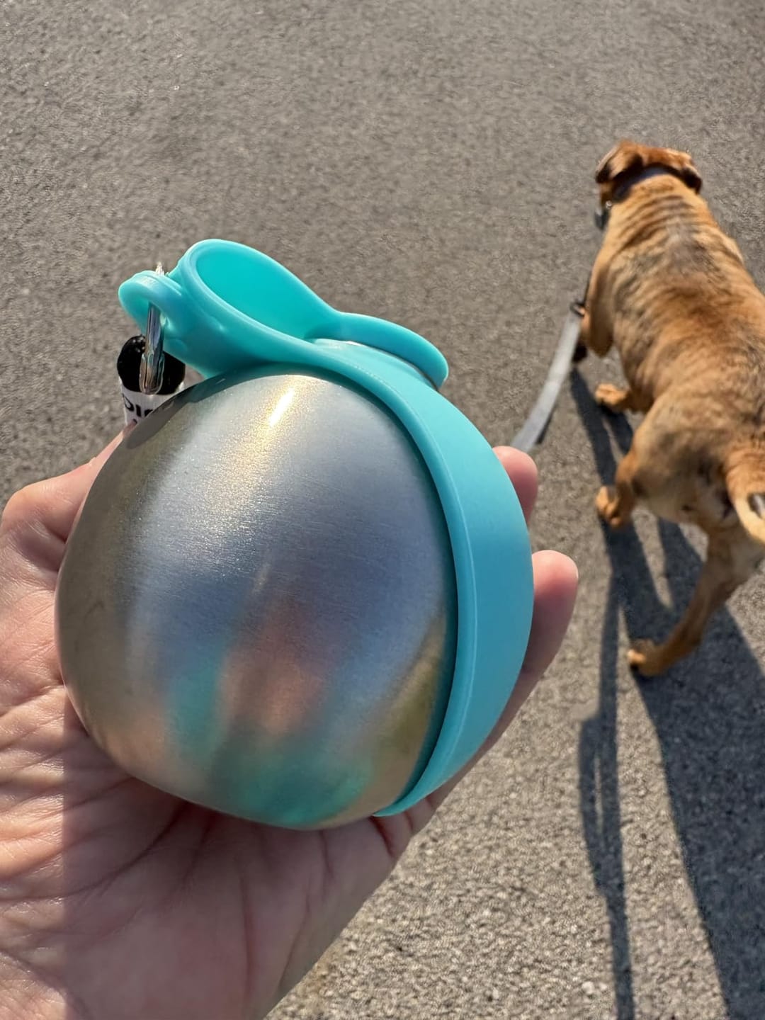 Customer photo review of Pawlytic Lab HydroLoop™ — Less Gear. More Walk.