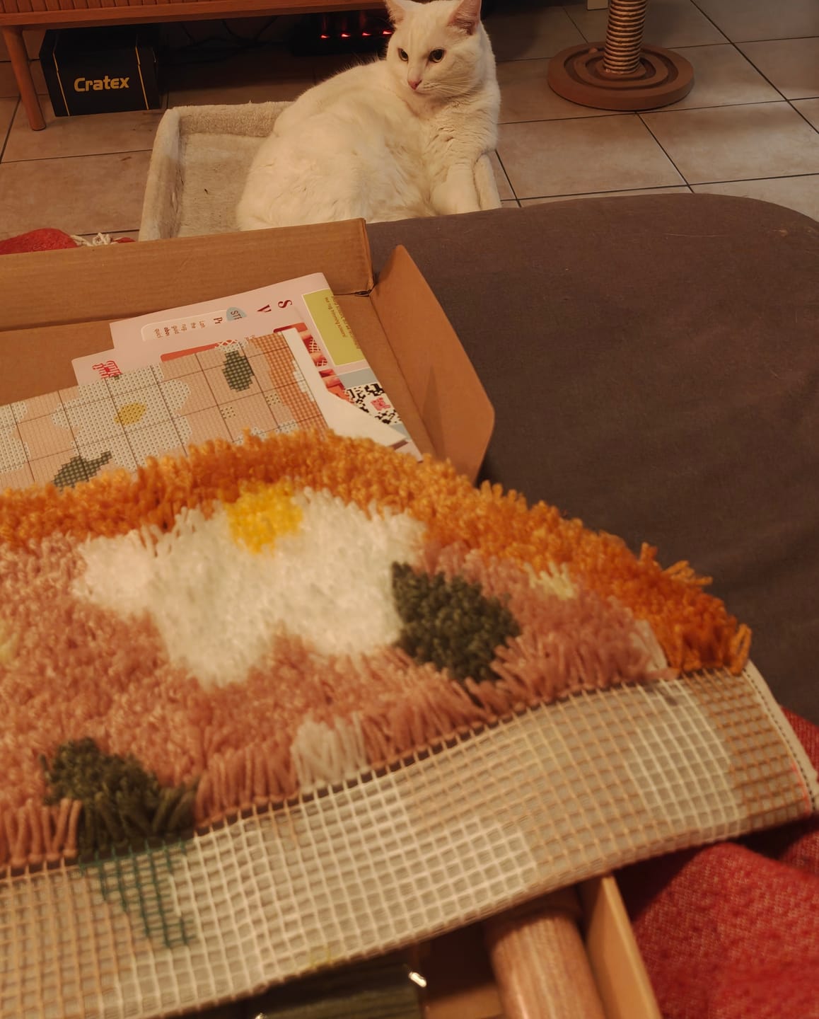 Customer photo review of DELIGHTFUL DAISIES - Rug Making Kit