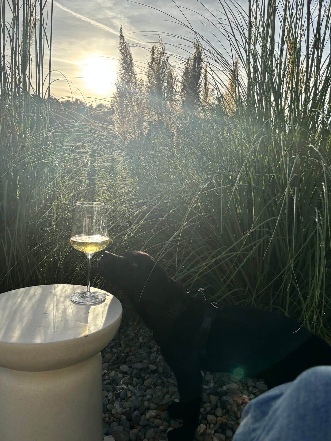 Customer photo review of WAALEM BRUT