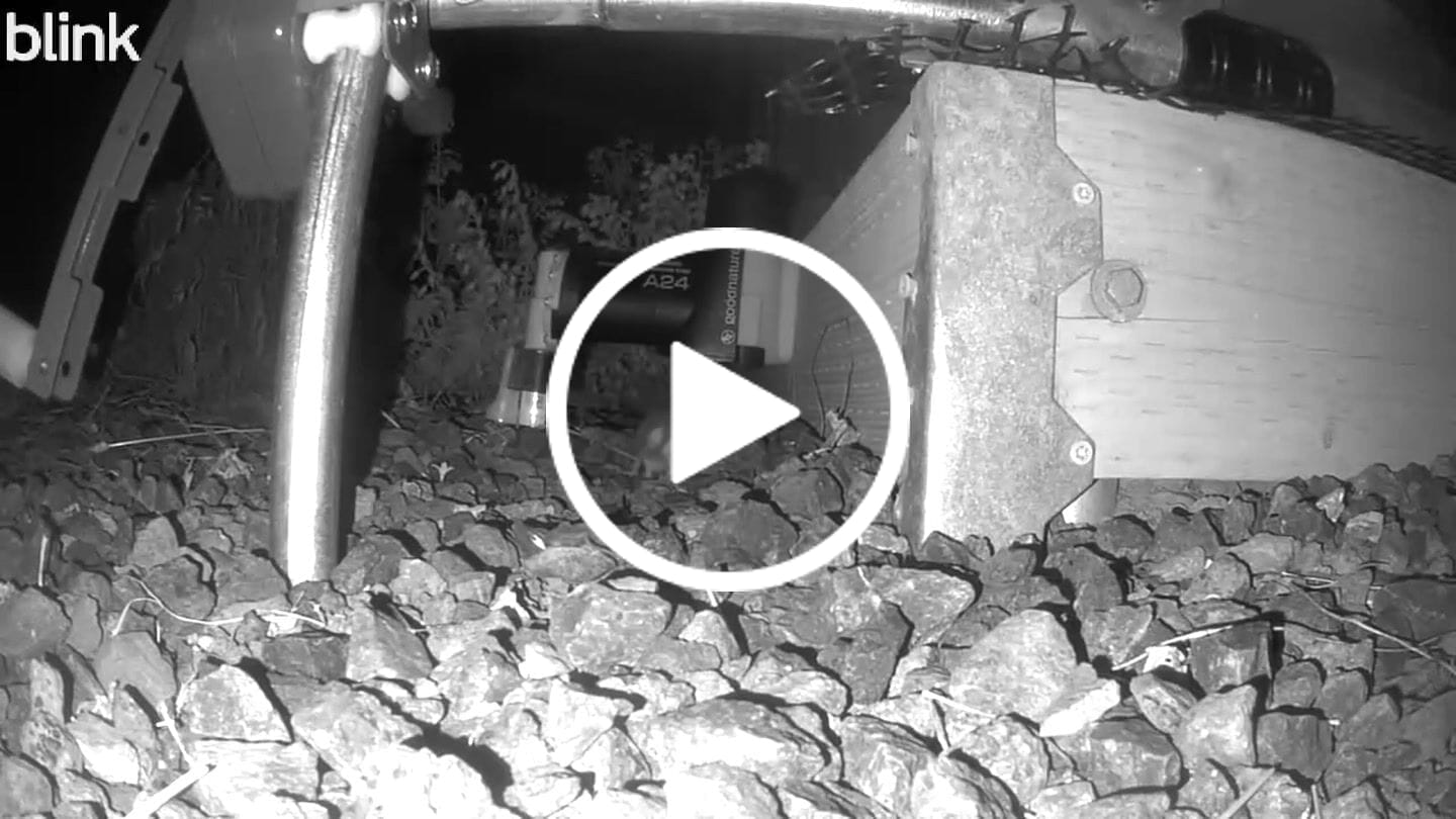 Customer video review of A24 Starter Trapping Kit