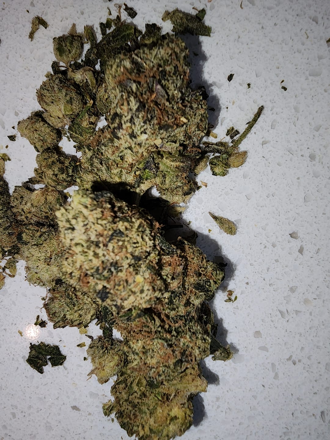 Customer photo review of Bruce Banner THCA Flower (Budget)