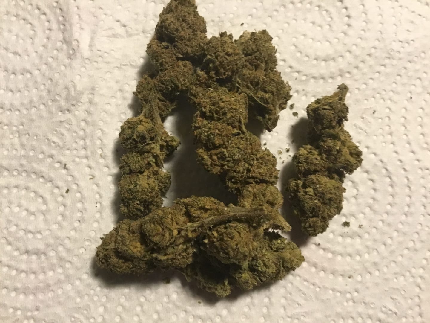 Customer photo review of 💥 Diesel Dynamite - SATIVA TURBO LVL 5/5