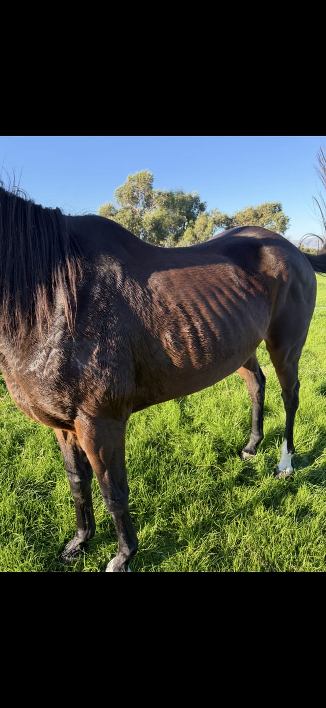 Customer photo review of Digestive EQ