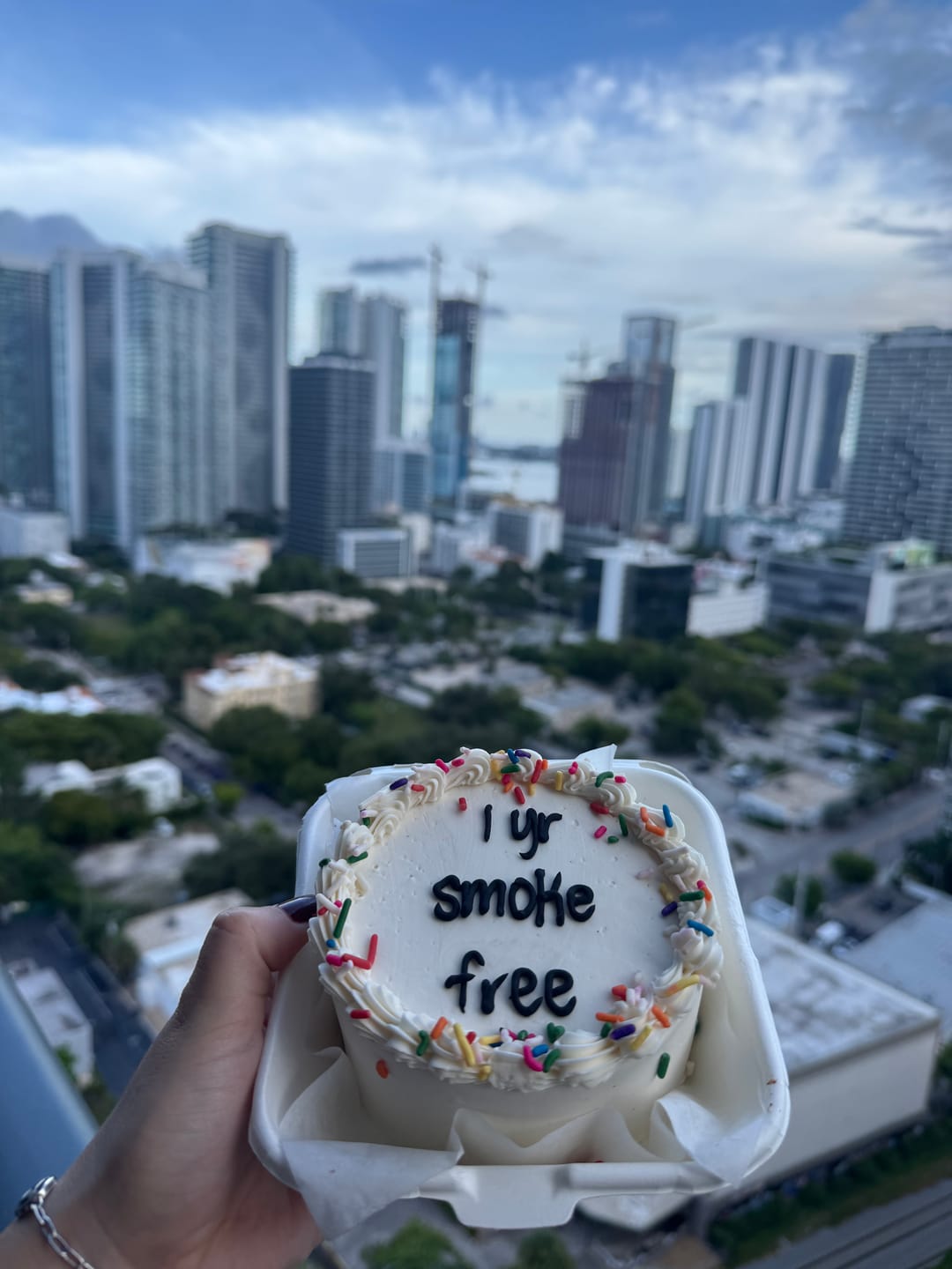 Customer photo review of Classic Birthday Bento Cake