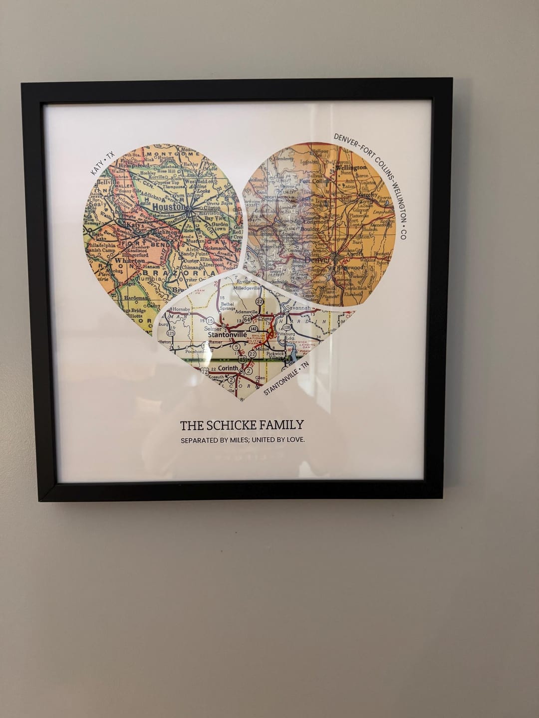 Customer photo review of Milestones Map [Digital Only]