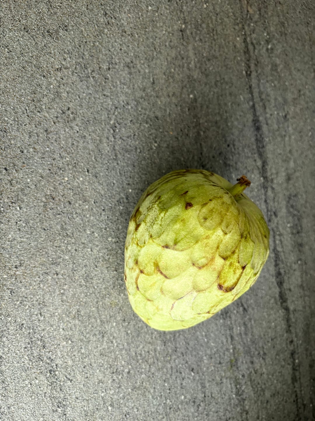 Customer photo review of Cherimoya von Julian