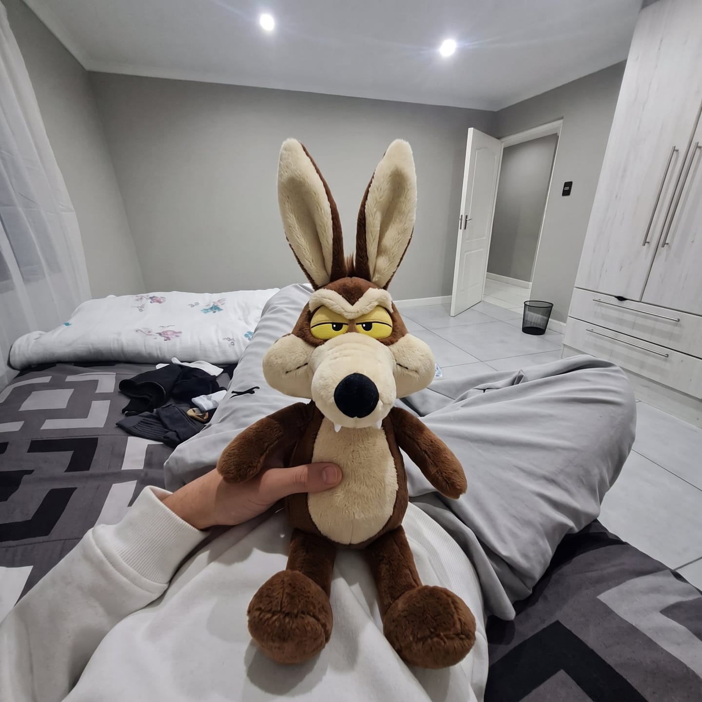 Customer photo review of ZoomiesPets™ Coyote Corredor
