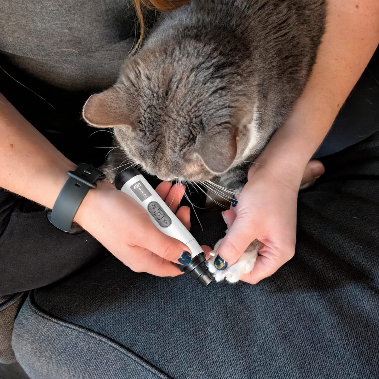 Customer photo review of Glempaws™ Stress-free, Quiet, and at Home