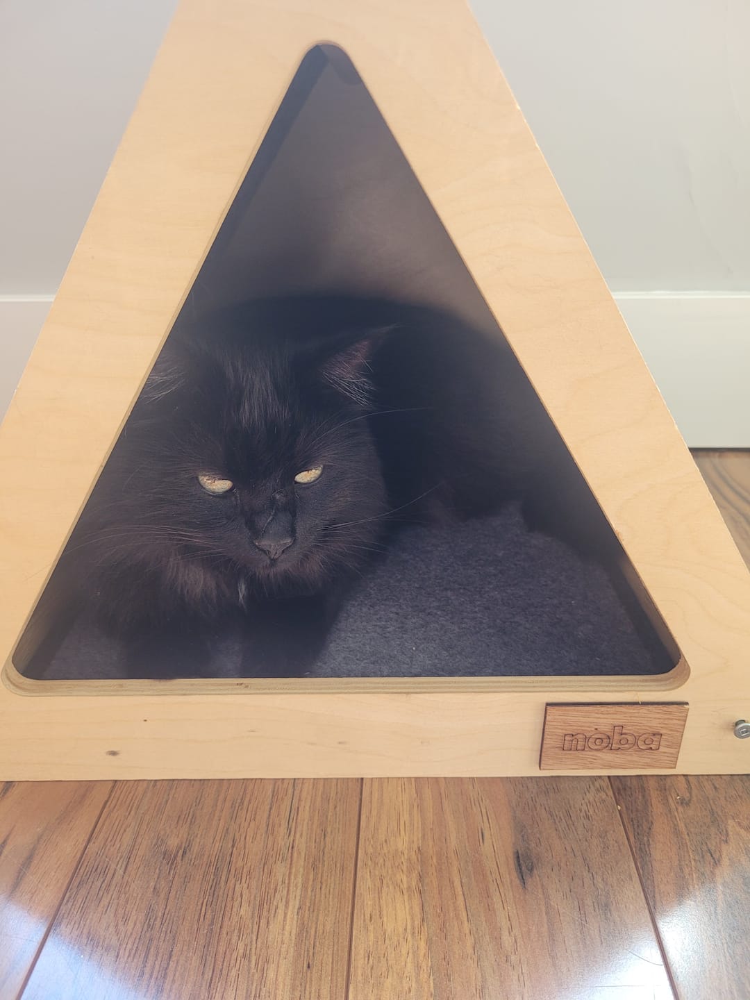 Customer photo review of The Urban Teepee Pet House