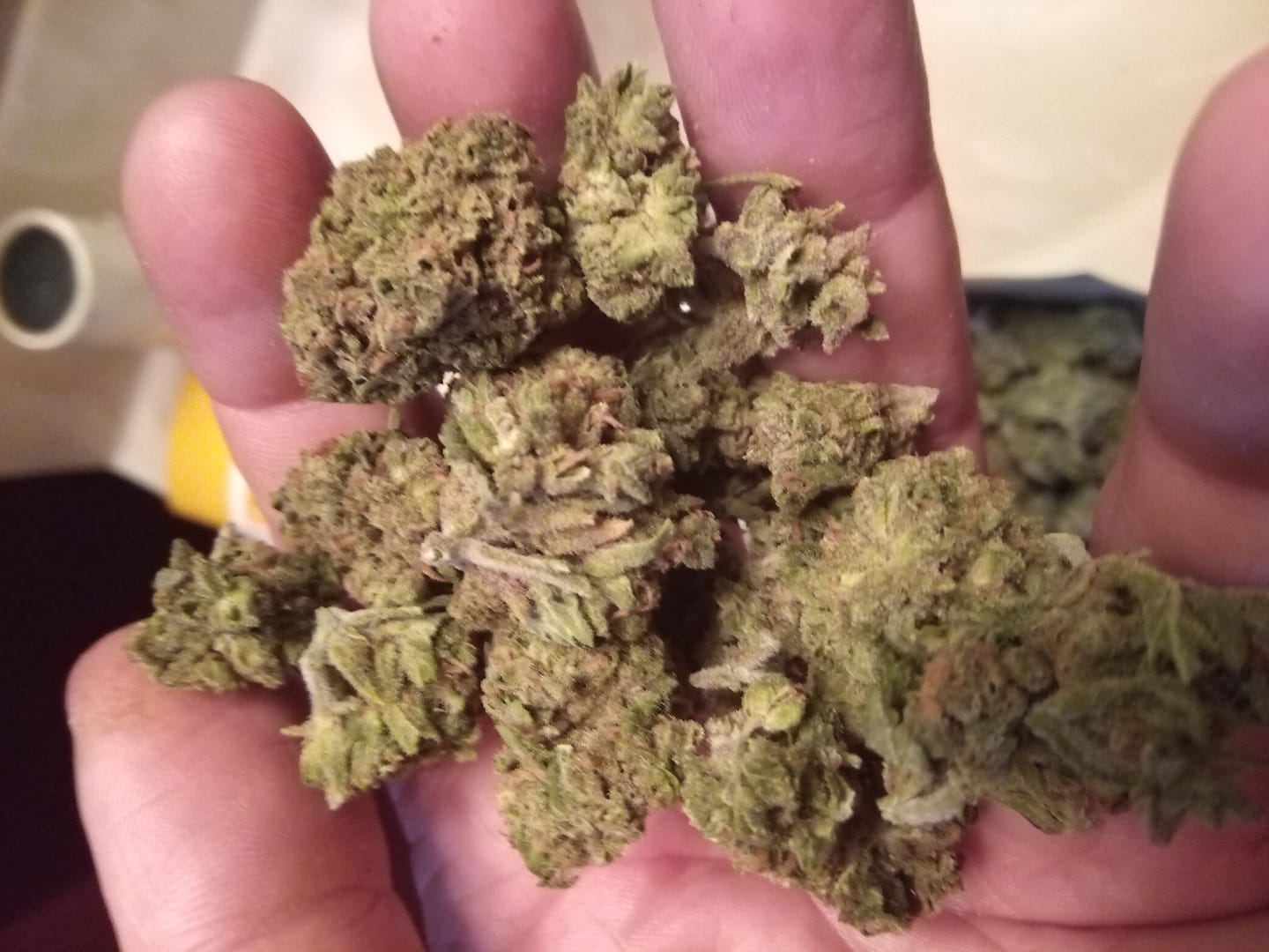 Customer photo review of Cheap THCA Smalls Quarter Pound