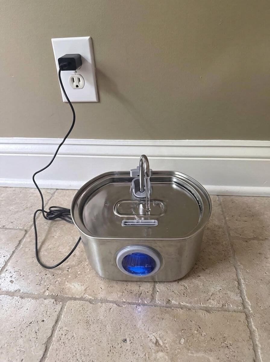 Customer photo review of Purrsteel Fresh Water Fountain