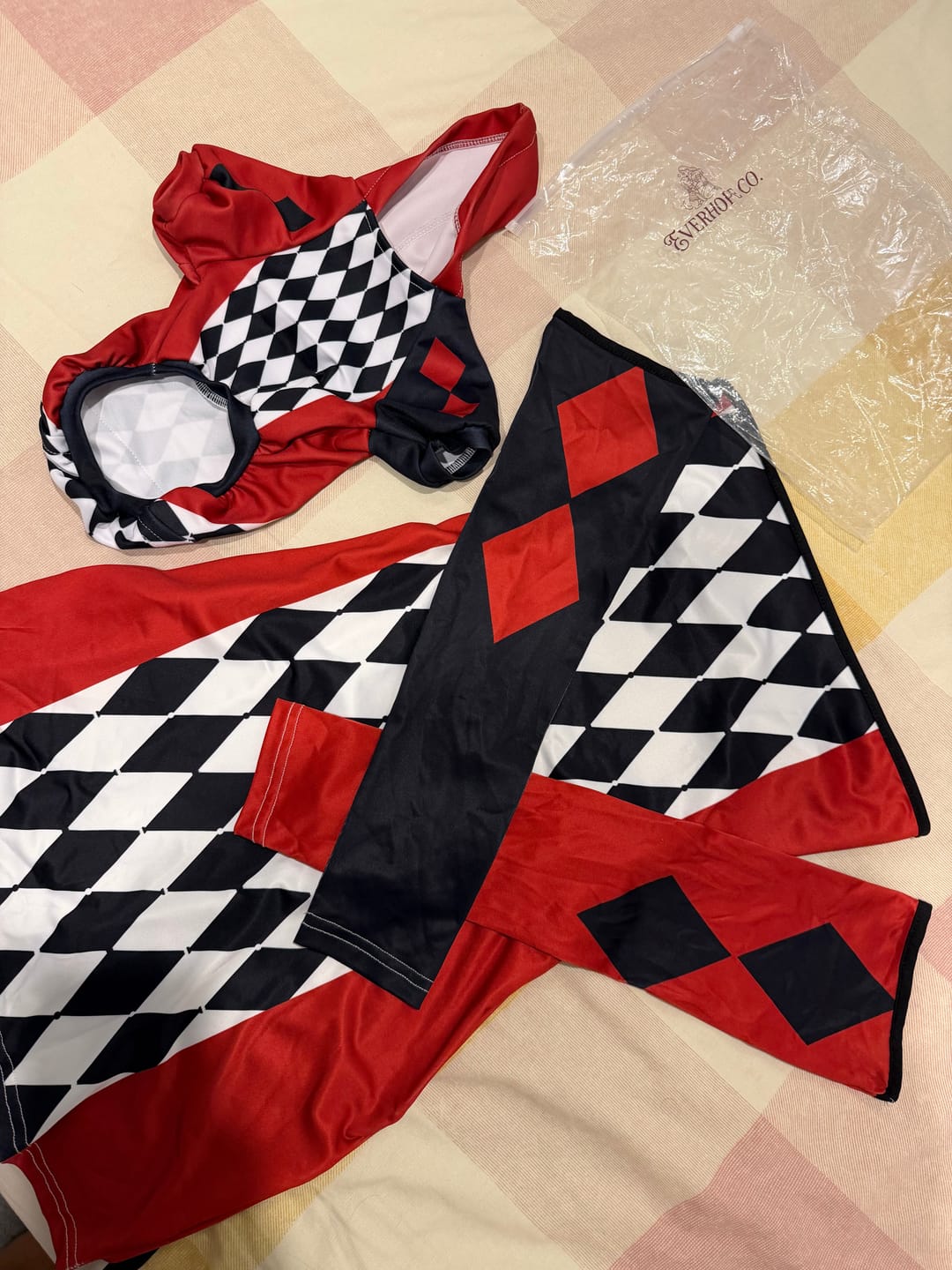 Customer photo review of Harlequin Jester Dress & Pet Hoodie