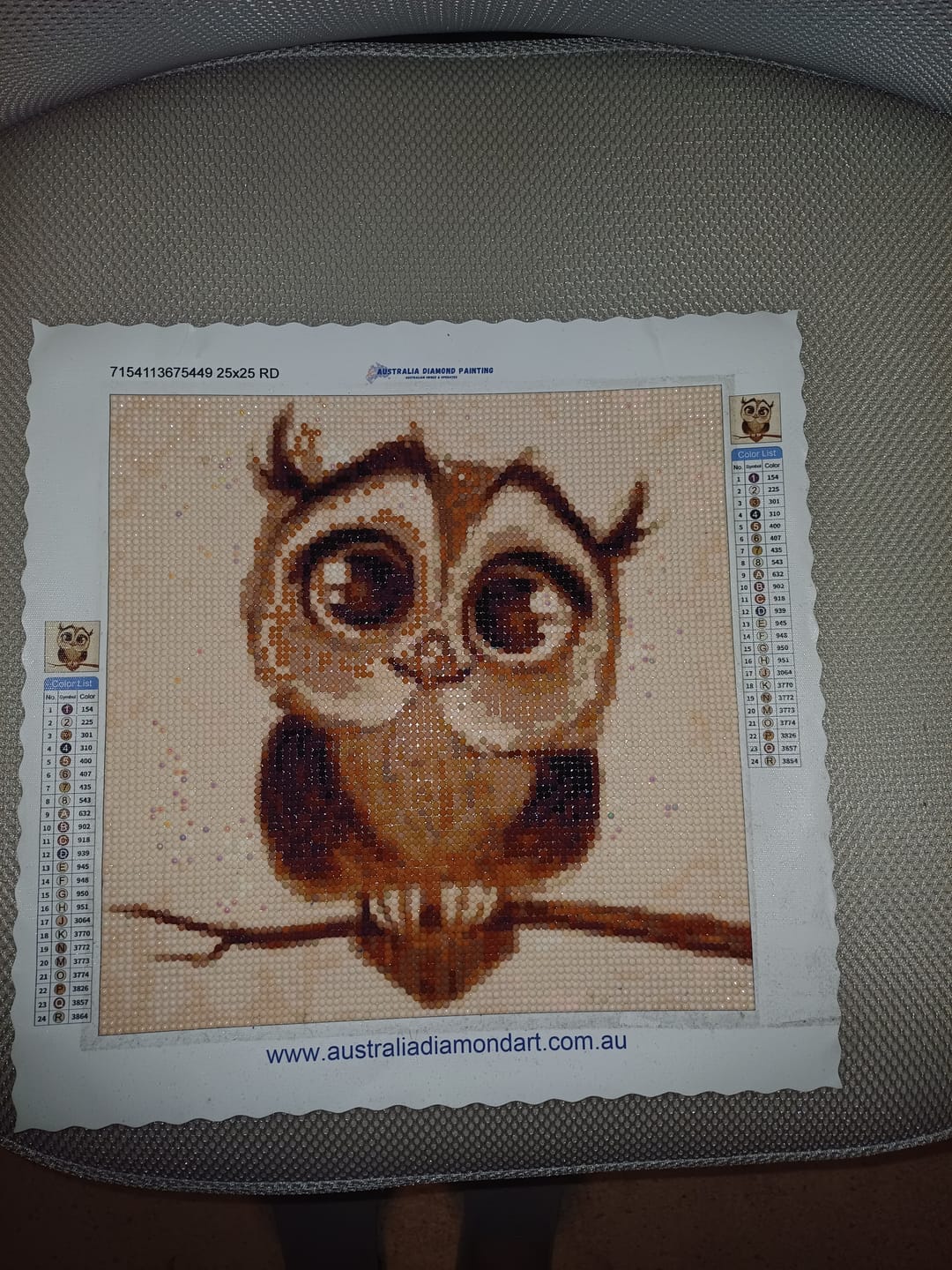 Customer photo review of New Cartoon Animal Wall Decoration Full Drill - 5D DIY Diamond Painting Owl Kits VM06308