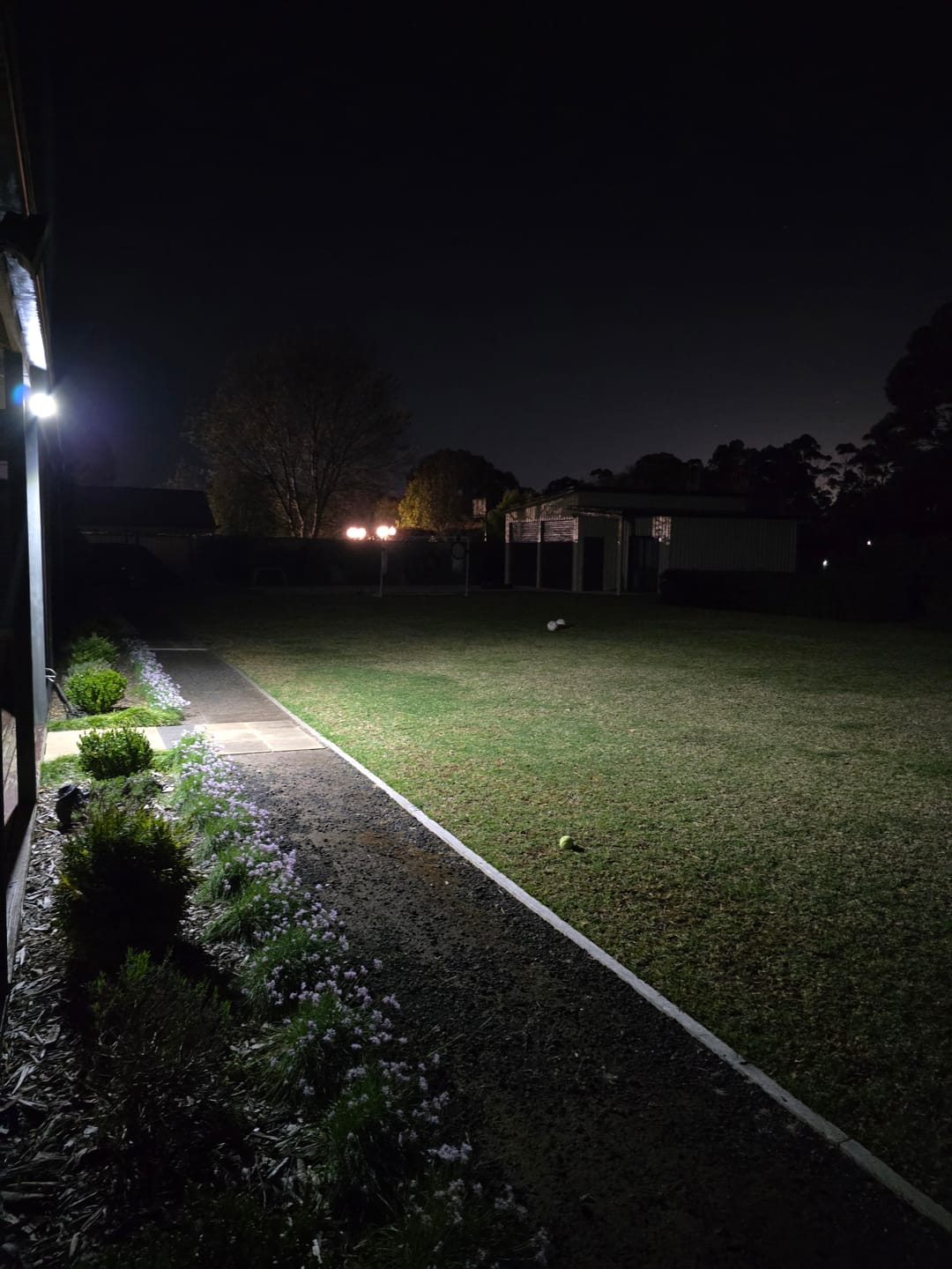 Customer photo review of SolaGarden™ 3 Head Motion Light