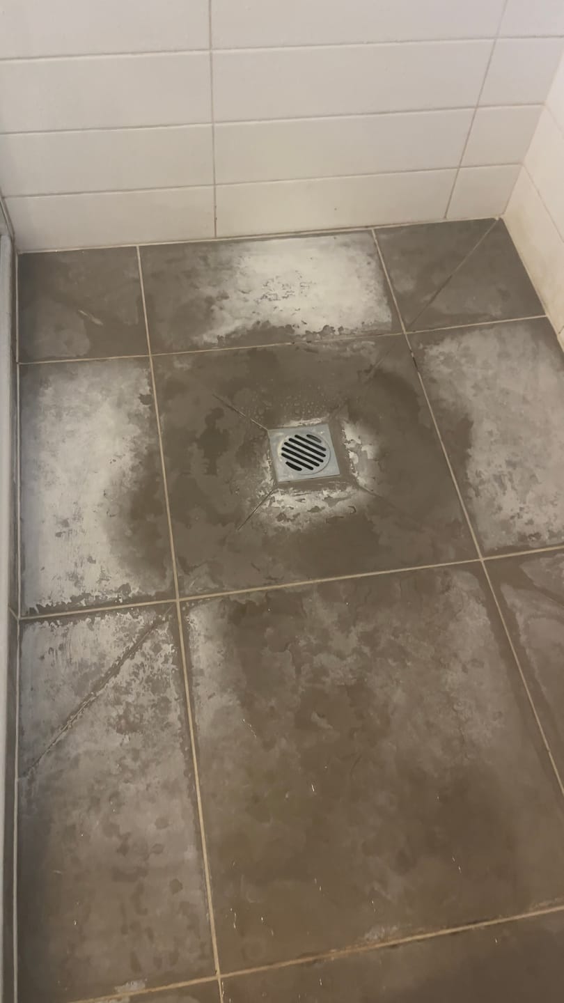 Customer photo review of SHYN Degreaser