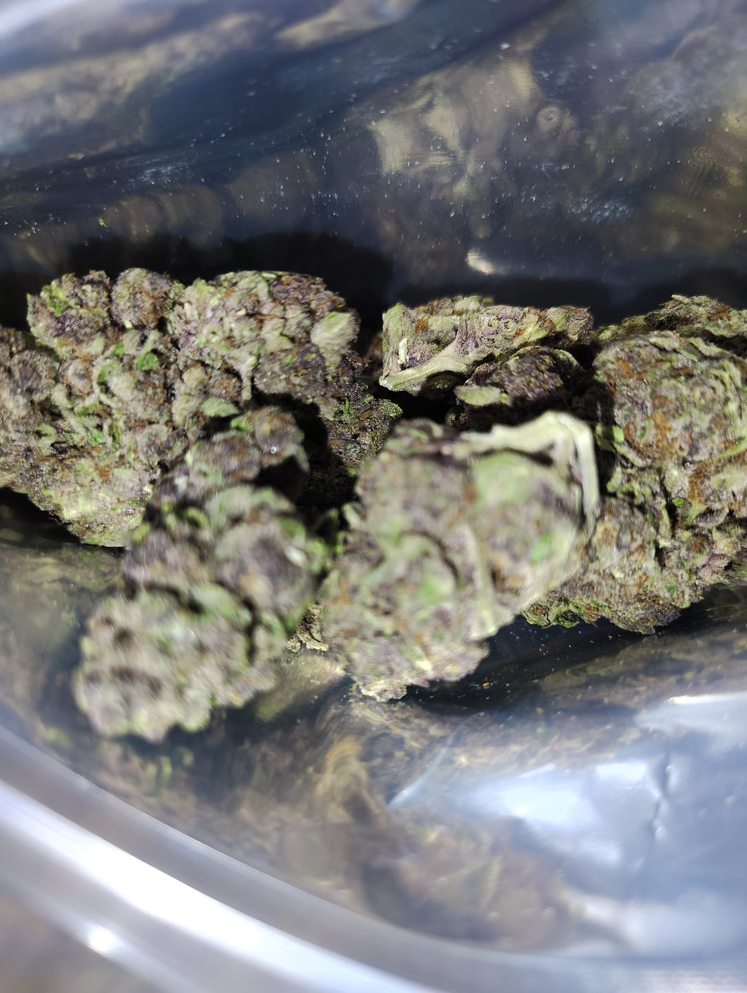 Customer photo review of THCA Queen