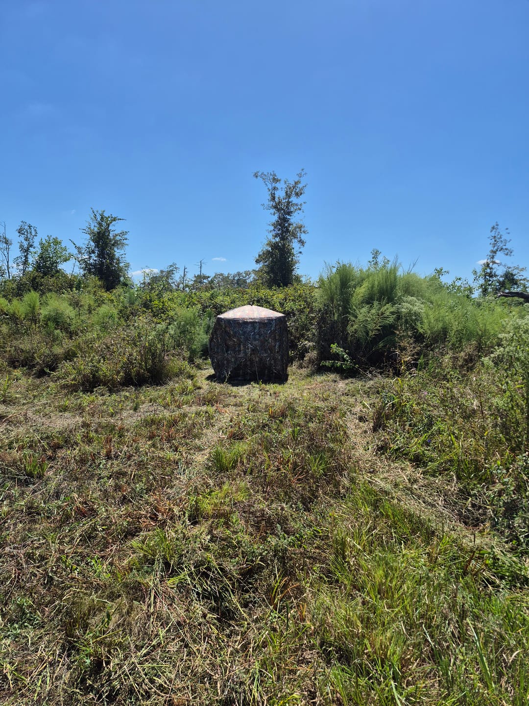 Customer photo review of Vis360 See Through Ground Blind | 360° Camouflage Pop Up Hunting Blind for 2/3/4 Person | Portable Deer Blind with Orange Cover