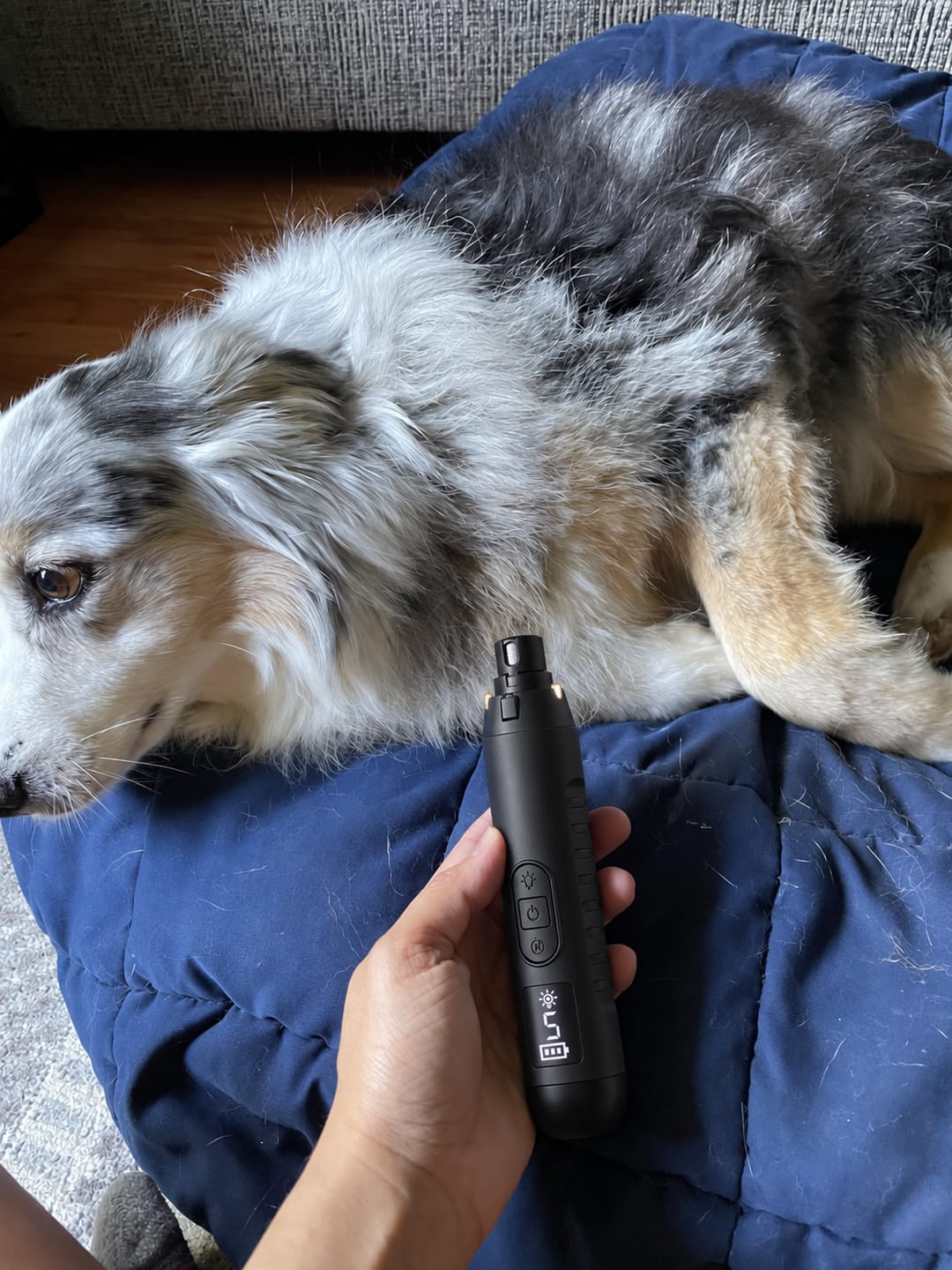 Customer photo review of Glempaws™ Stress-free, Quiet, and at Home