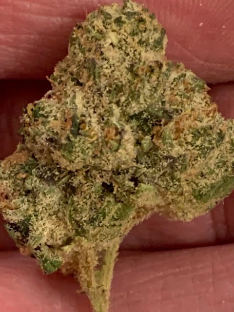 Customer photo review of Runtz THCA Flower (Budget)
