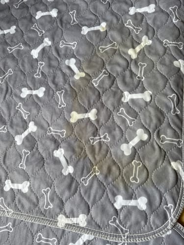 Customer photo review of Alfombra Educativa para Perros