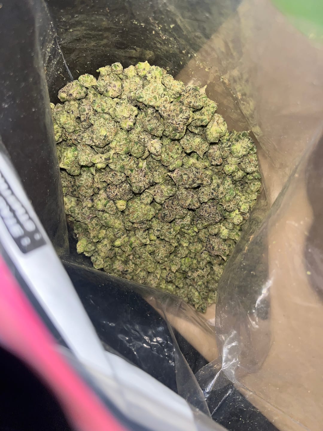 Customer photo review of Greenhouse Smalls