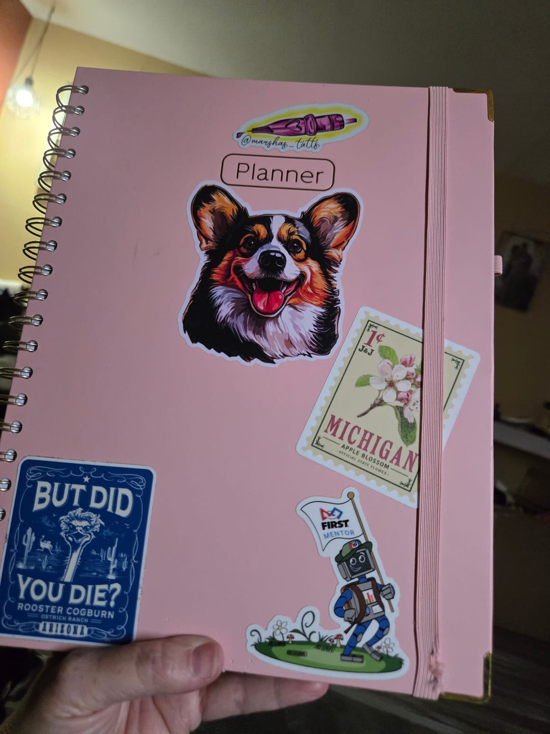 Customer photo review of Josh & Jase Mail Club