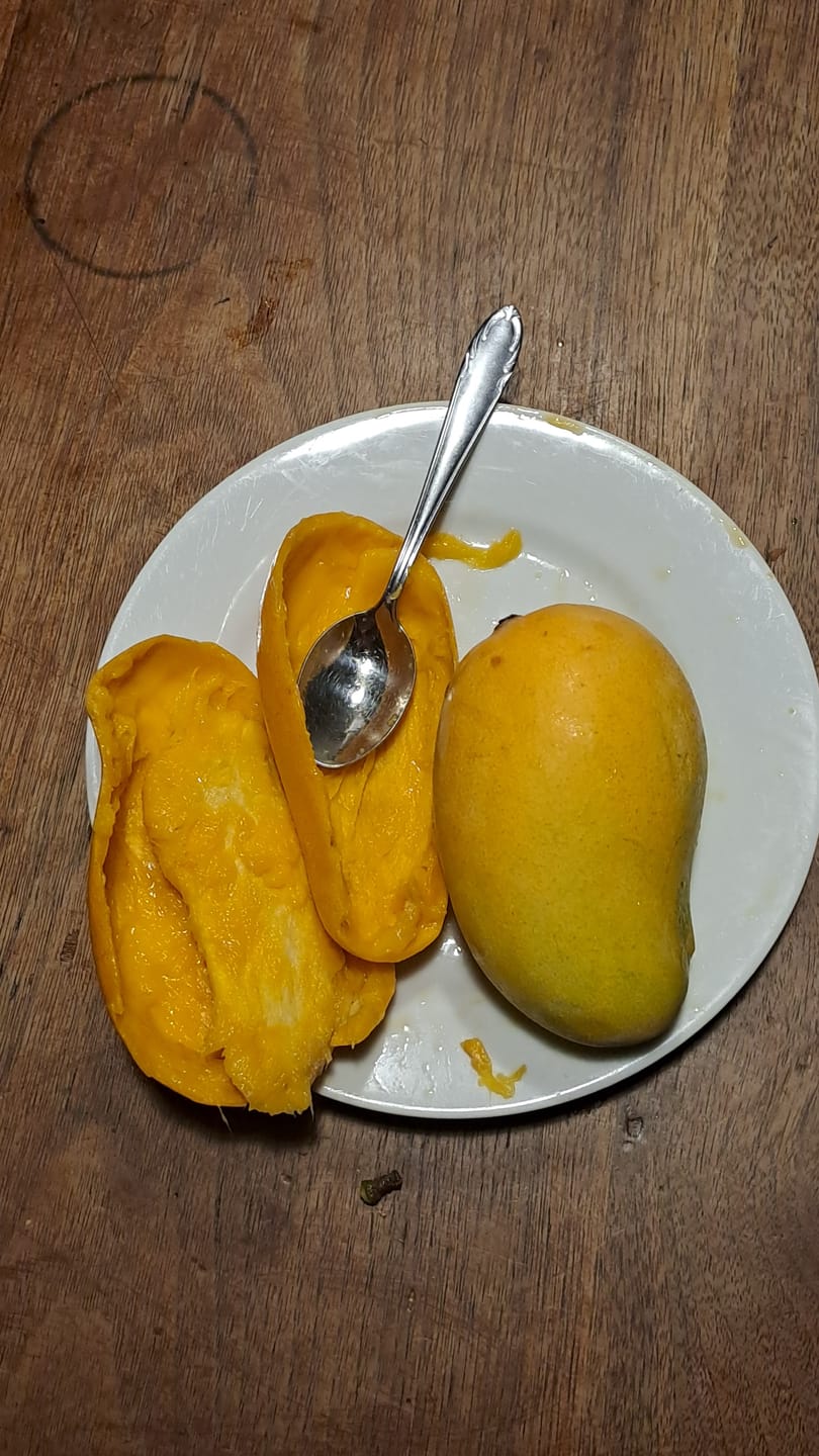 Customer photo review of Mango Honig „Ataulfo“ Bio von Julian