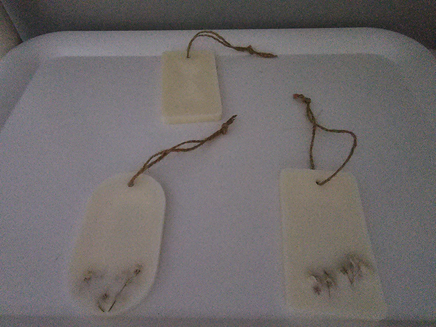 Customer photo review of Molde ambientadores sólidos