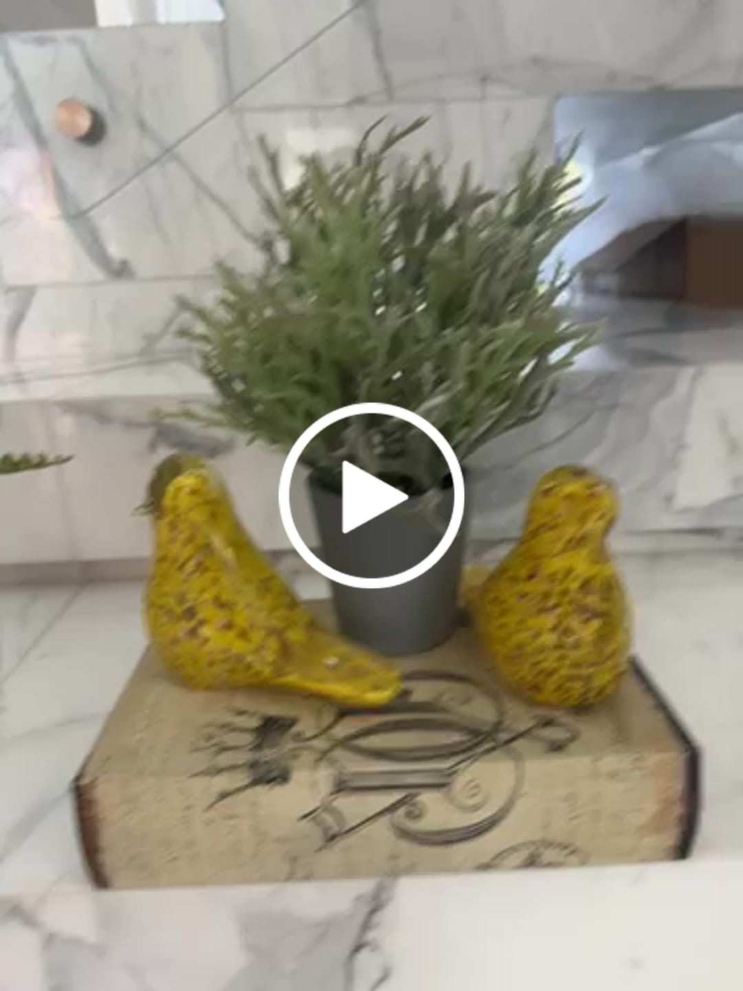 Customer video review of Handmade Decorative Artificial Plant Sh16-034
