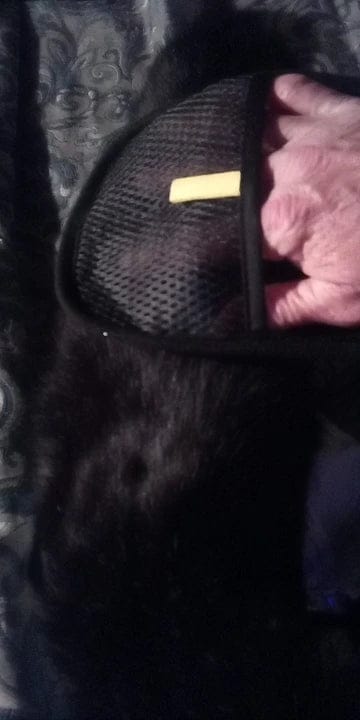 Customer photo review of Rukavica za uklanjanje dlaka kućnih ljubimaca 1+1 GRATIS