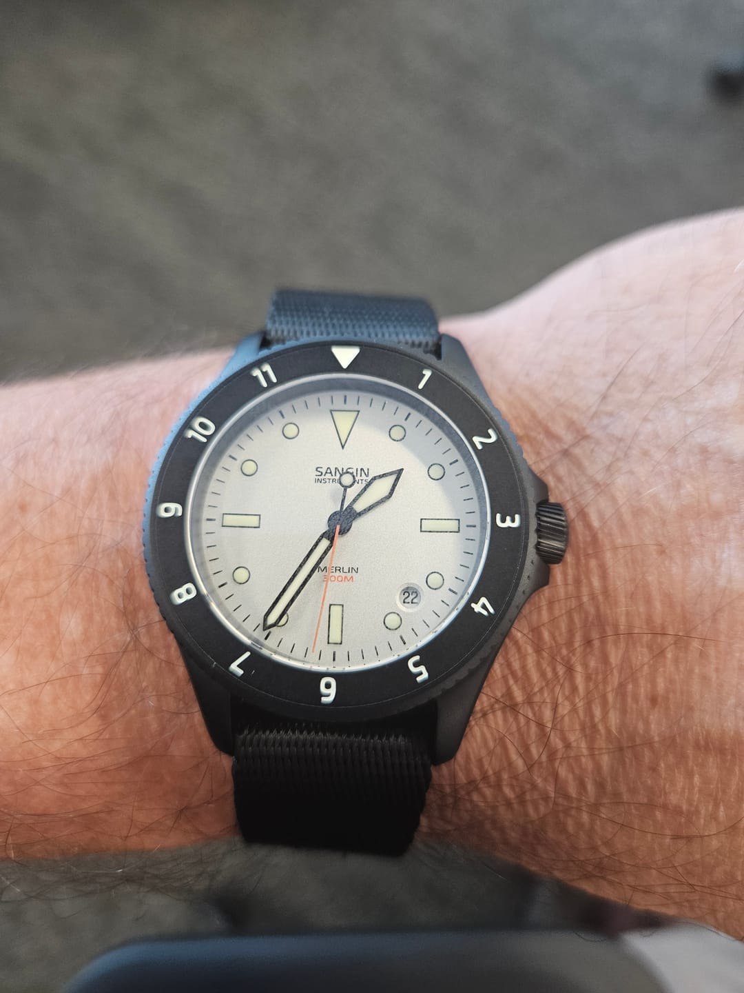 Customer photo review of Merlin (Private Release)