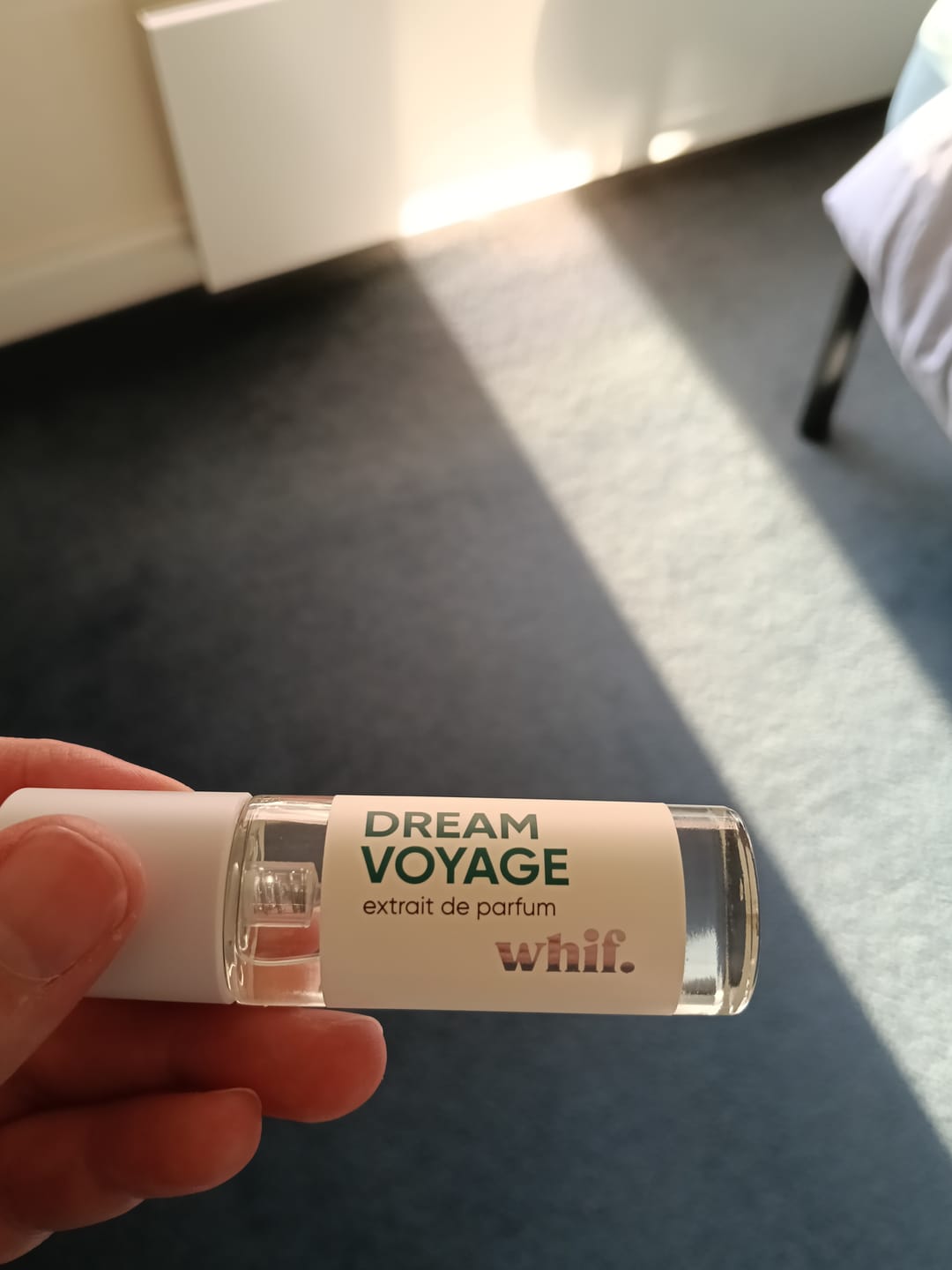 Customer photo review of Dream Voyage