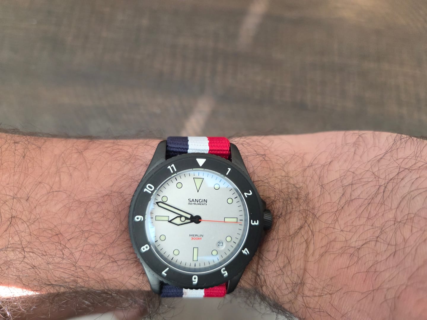 Customer photo review of Merlin (Private Release)