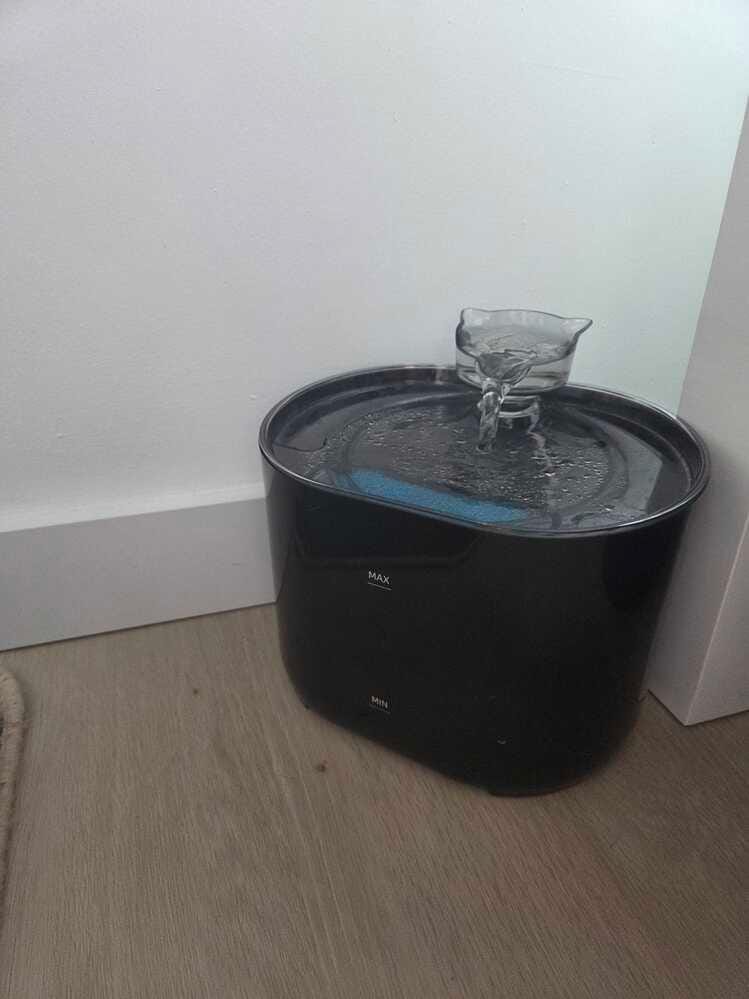 Customer photo review of Fontaine à Eau pour Chat 2,2L – Filtration Continue