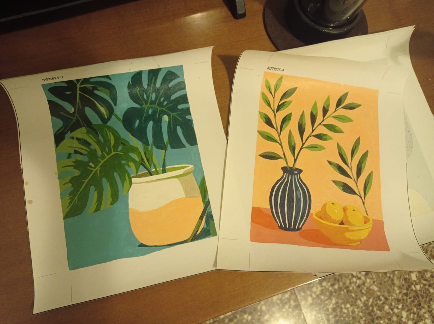 Customer photo review of 6 Mini Paintings - Olive Branch Set