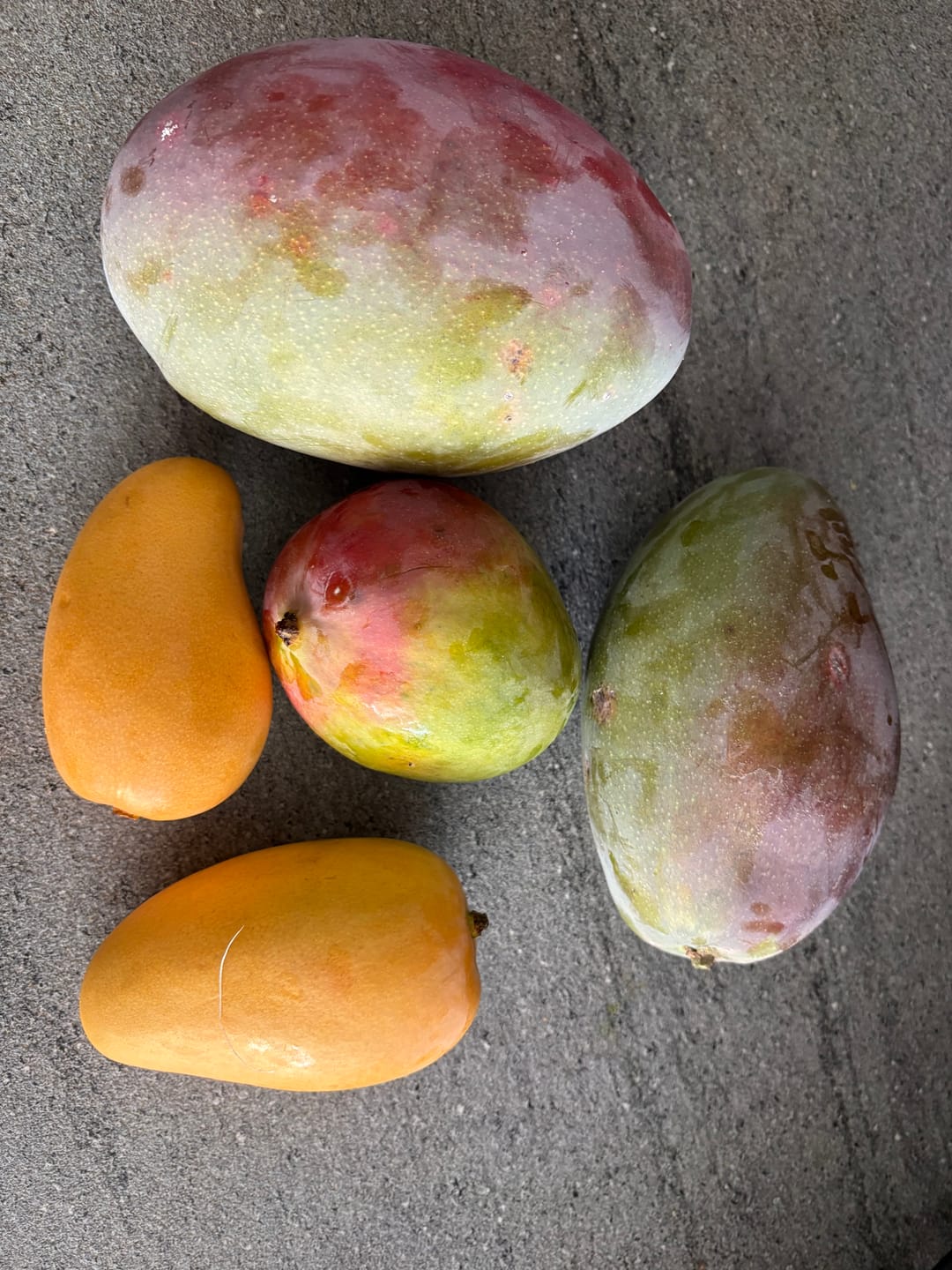 Customer photo review of Mango Mix von Juan 3kg Aktion %