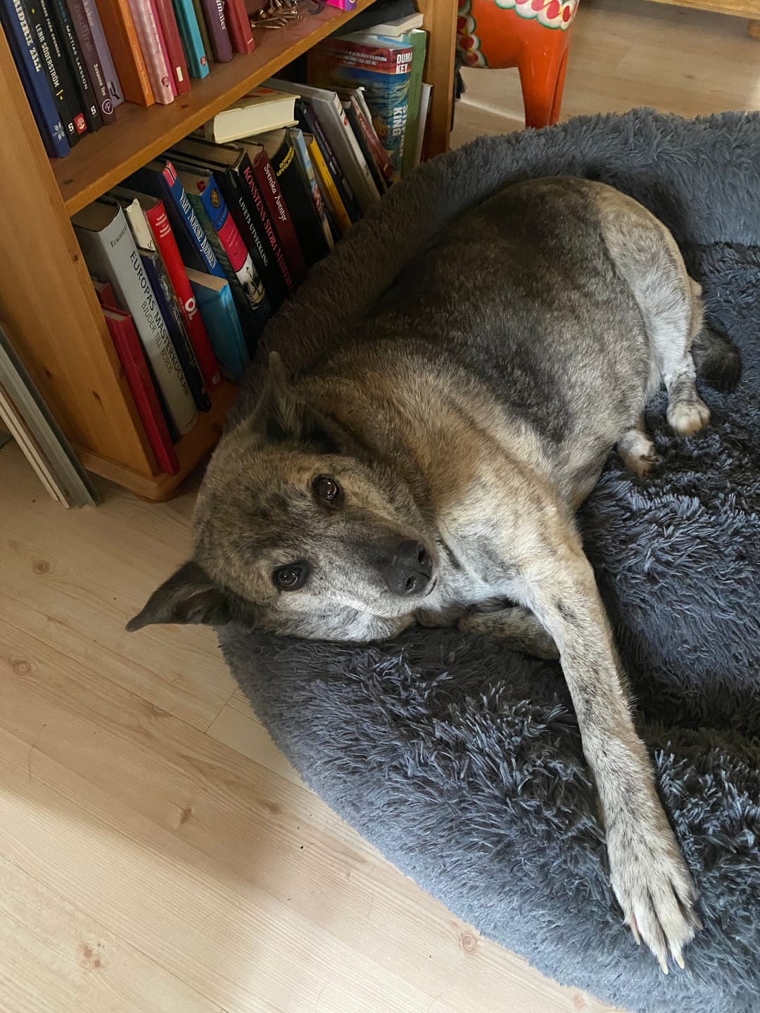 Customer photo review of CalmBed - Motverkar stress & hjälper mot ångest