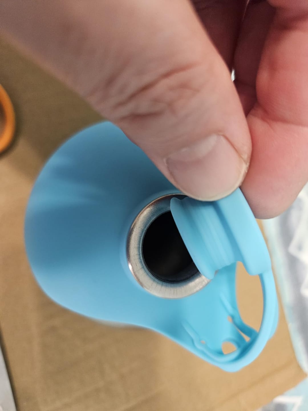 Customer photo review of Pawlytic Lab HydroLoop™ — Less Gear. More Walk.