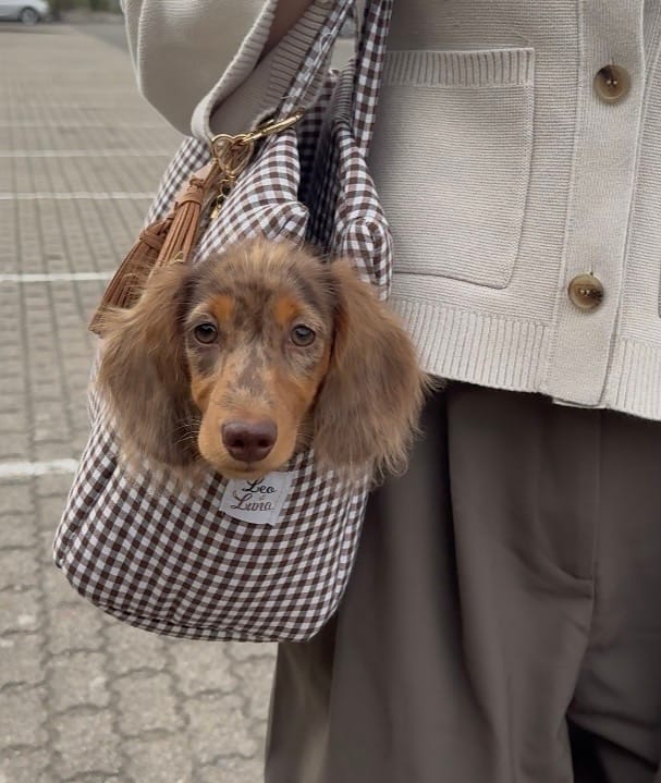 Customer photo review of Borse Trasportino per Cani in Tessuto Vichy | Eleganti, Comode e Made in Italy | Leo e Luna