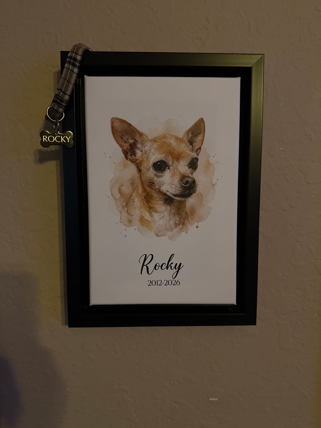 Customer photo review of Custom Pet Watercolor Portrait from Your Photo