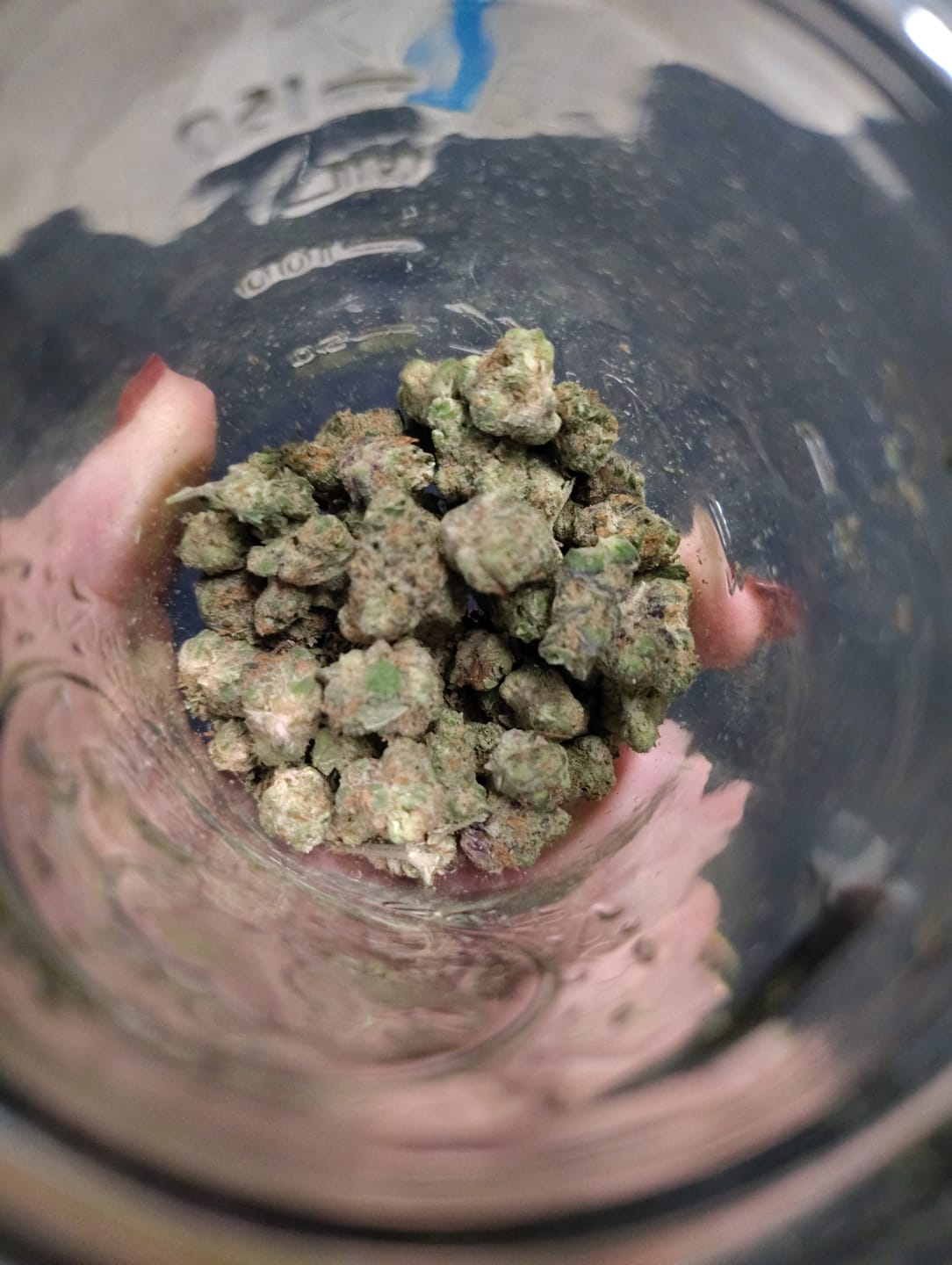 Customer photo review of Peanut Butter Breath (Indoor Smalls) - THCA Flower