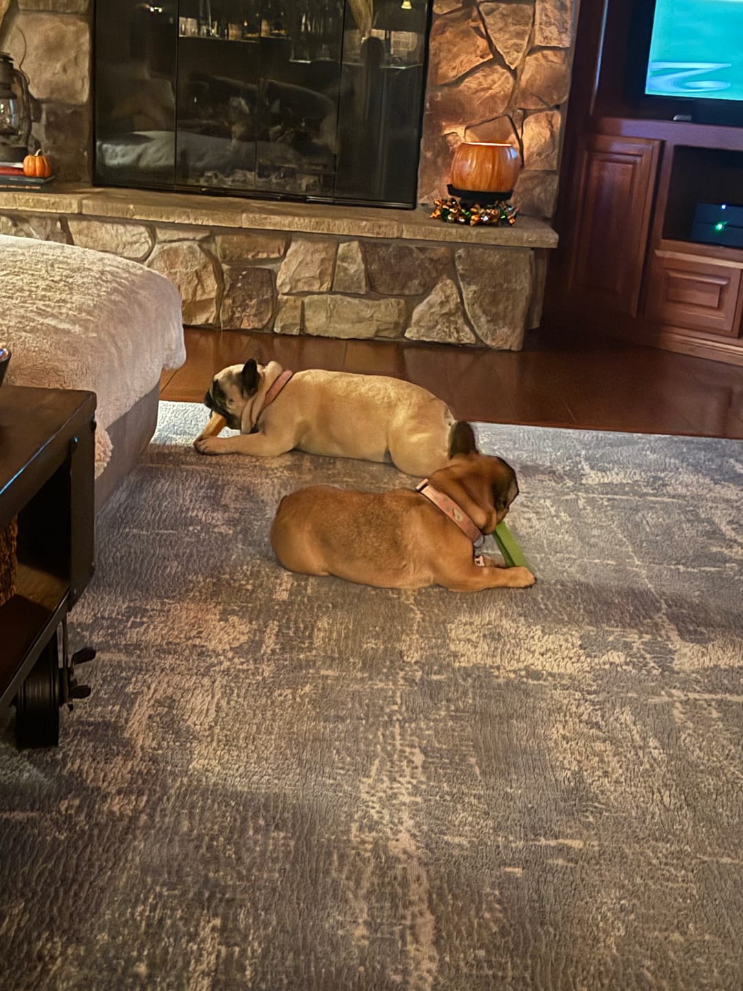 Customer photo review of Himalayan Yak Chew Flavor Pack
