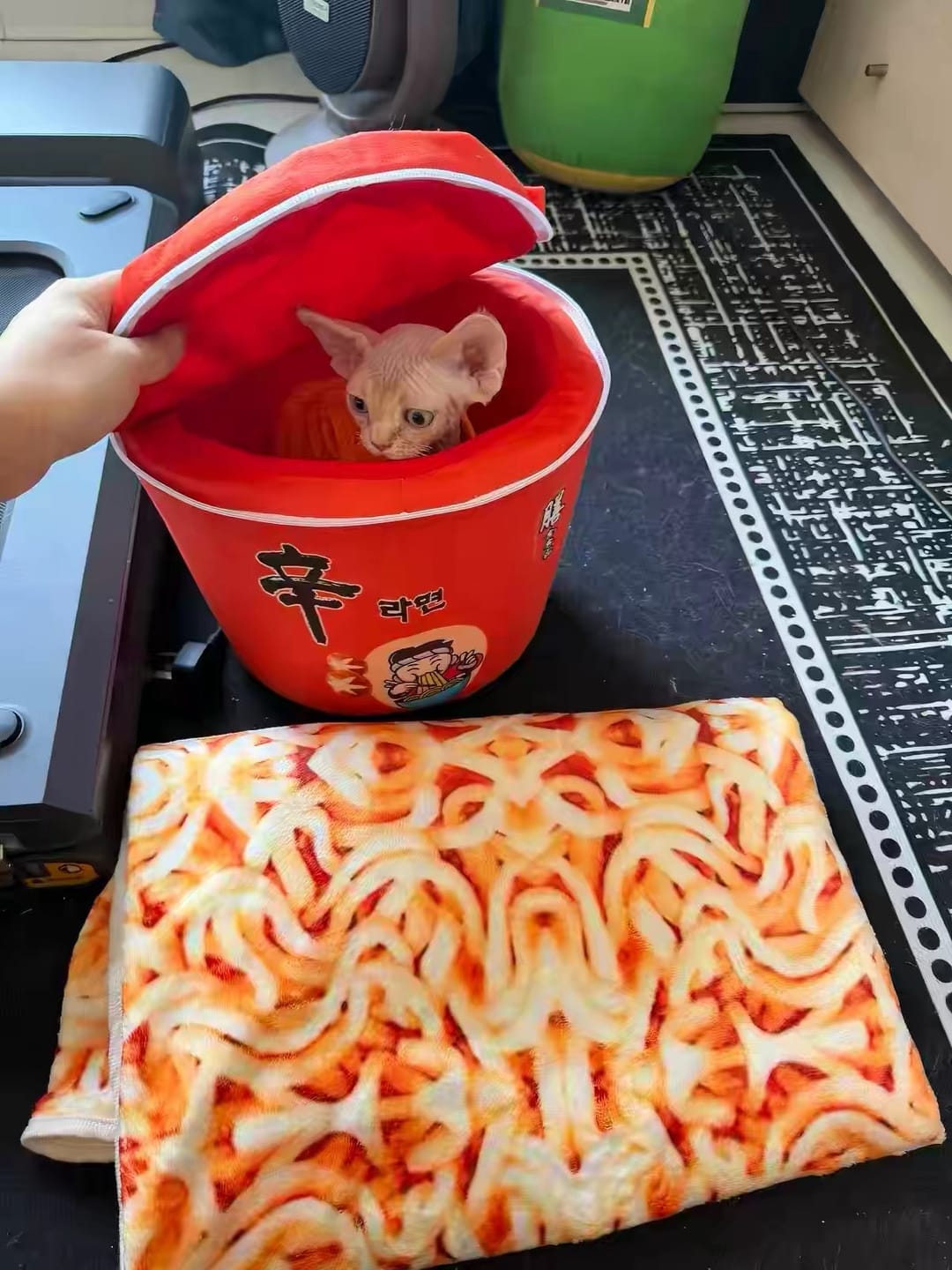 Customer photo review of Cup Noodle Pillow & Blanket Set