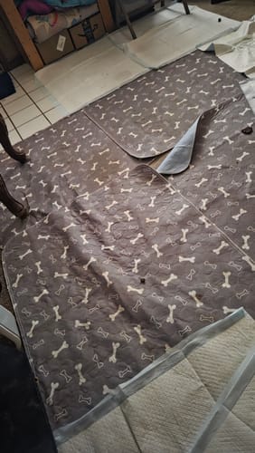 Customer photo review of Alfombra Educativa para Perros