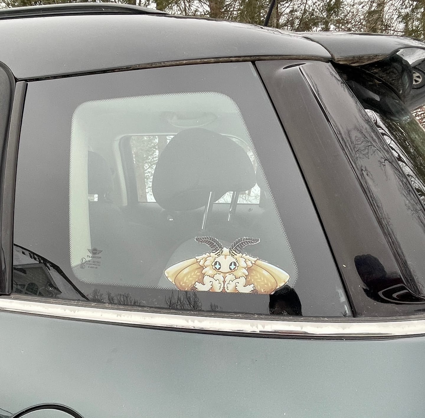 Customer photo review of Clear Stickers