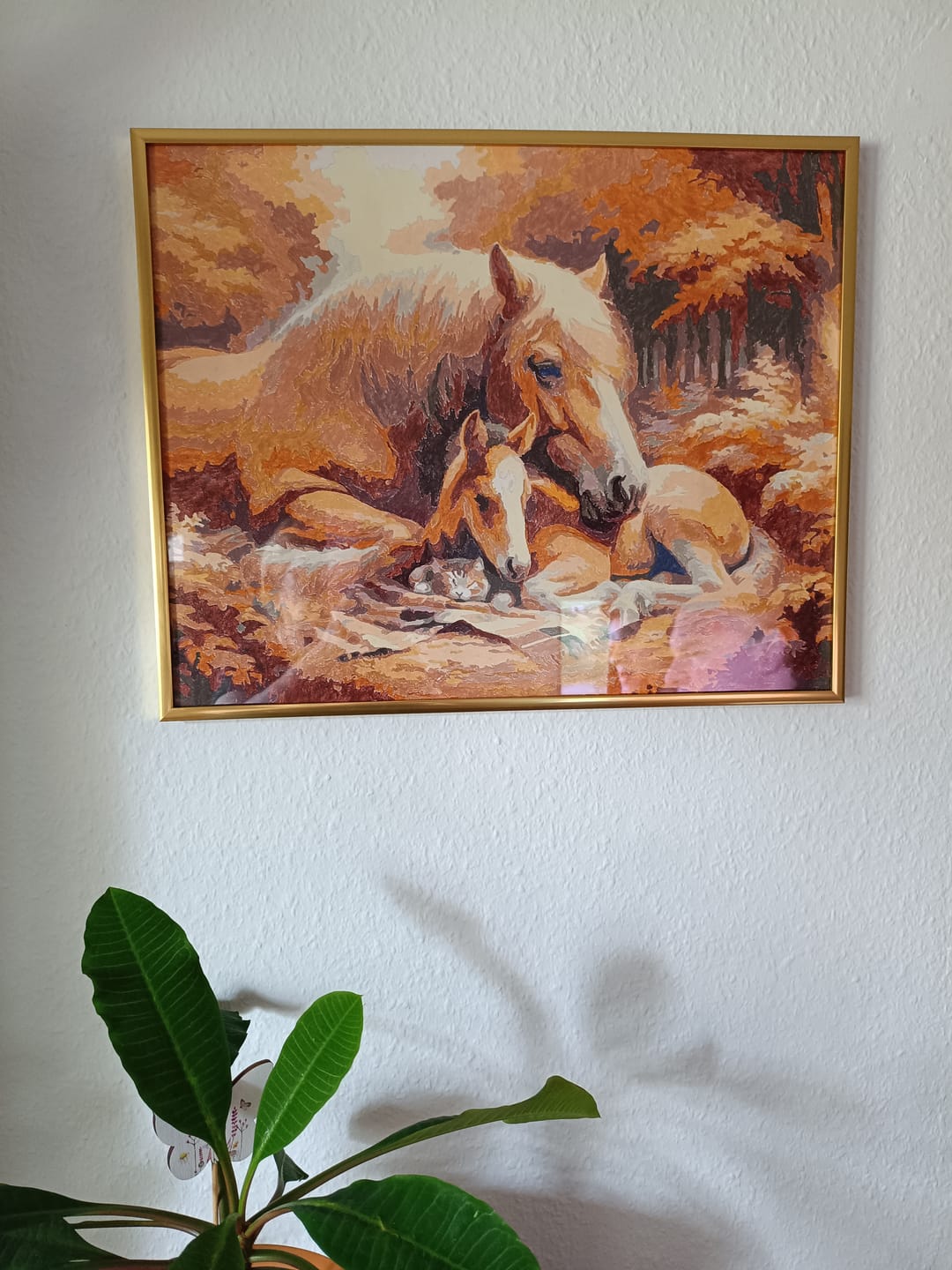 Customer photo review of Malen nach Zahlen - Pferde und Katze